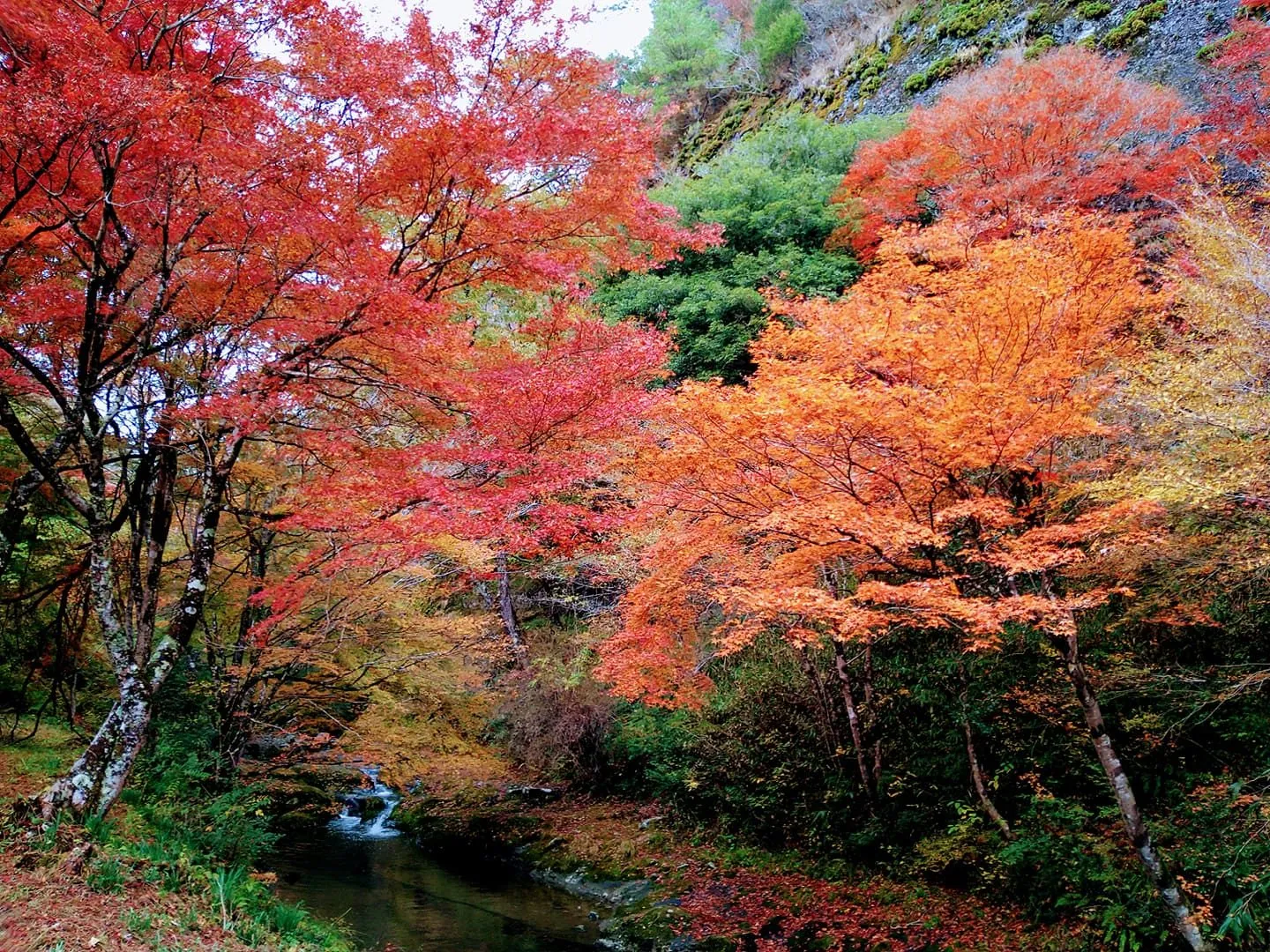 古岩屋温泉の風景