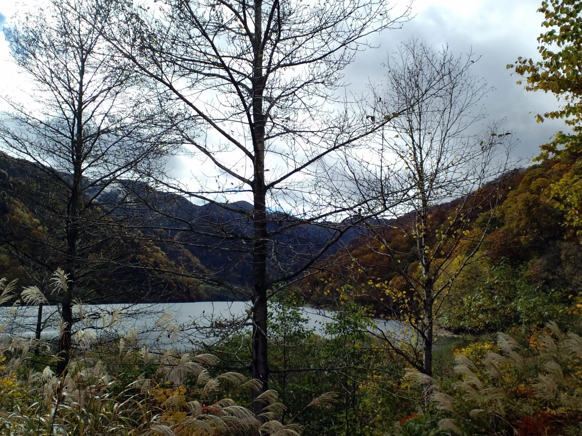 白川郷平瀬温泉の風景