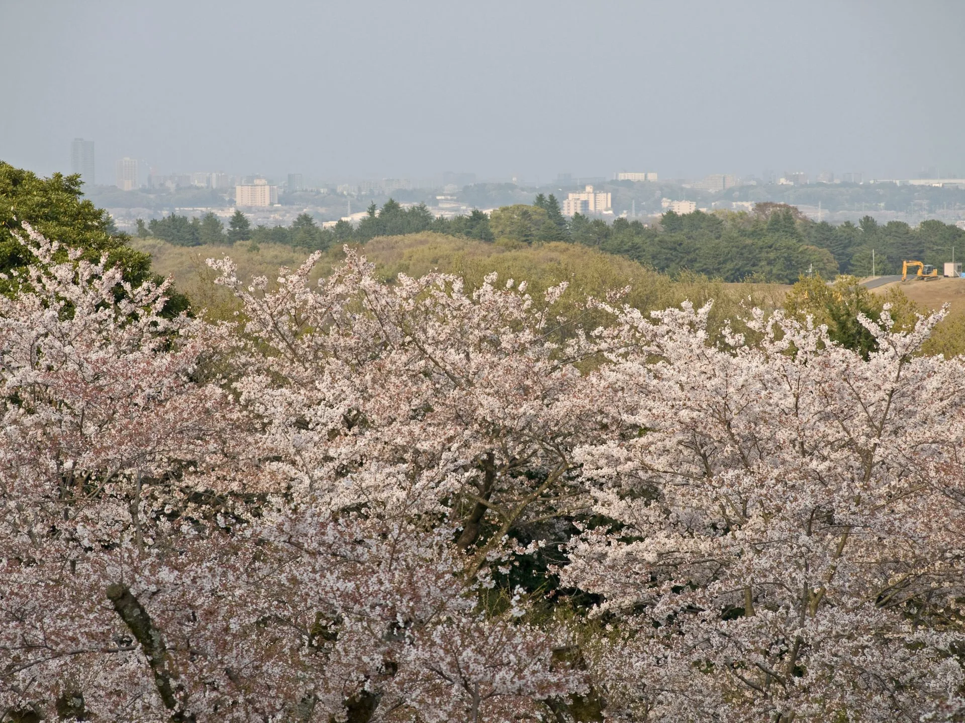飯山温泉の風景