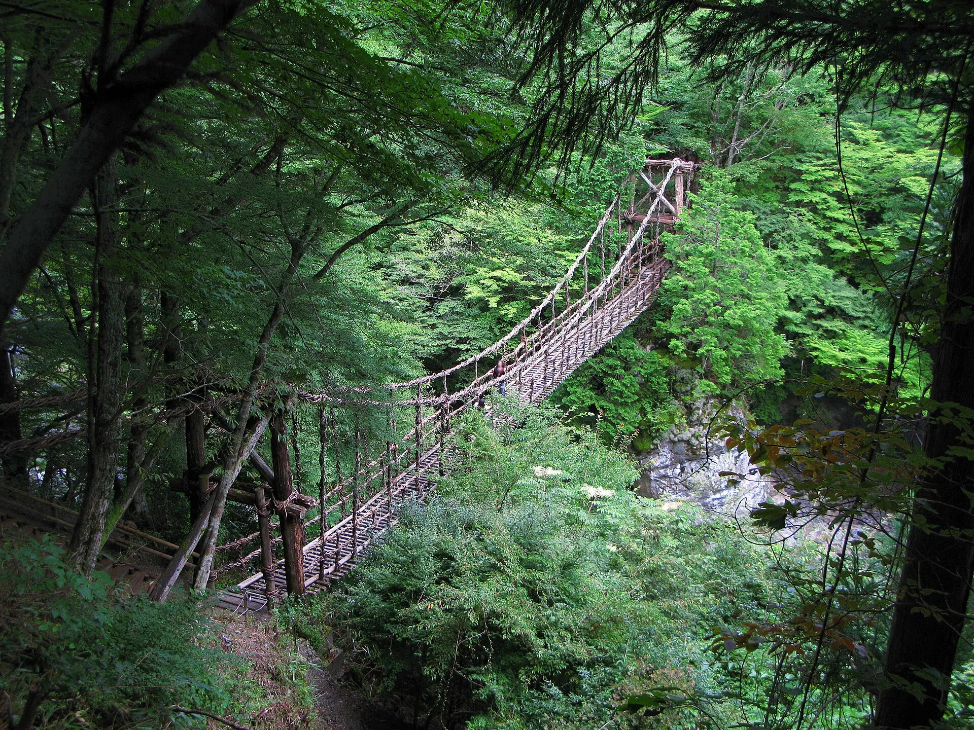 祖谷温泉の風景
