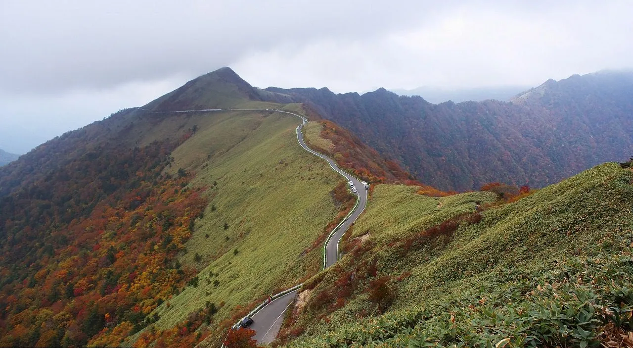 木の香温泉の風景