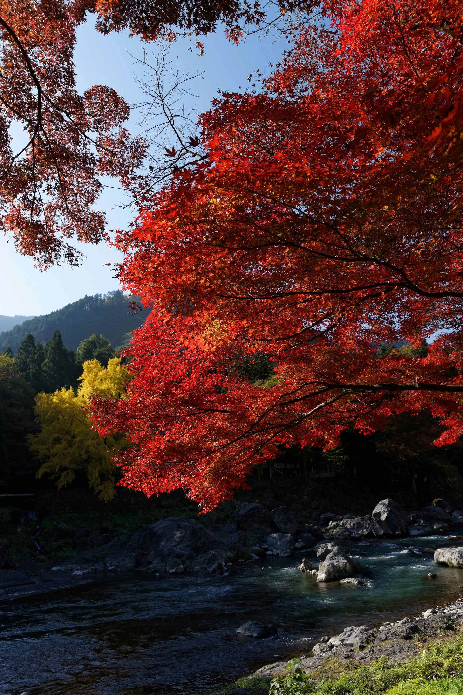 青梅石神温泉の風景
