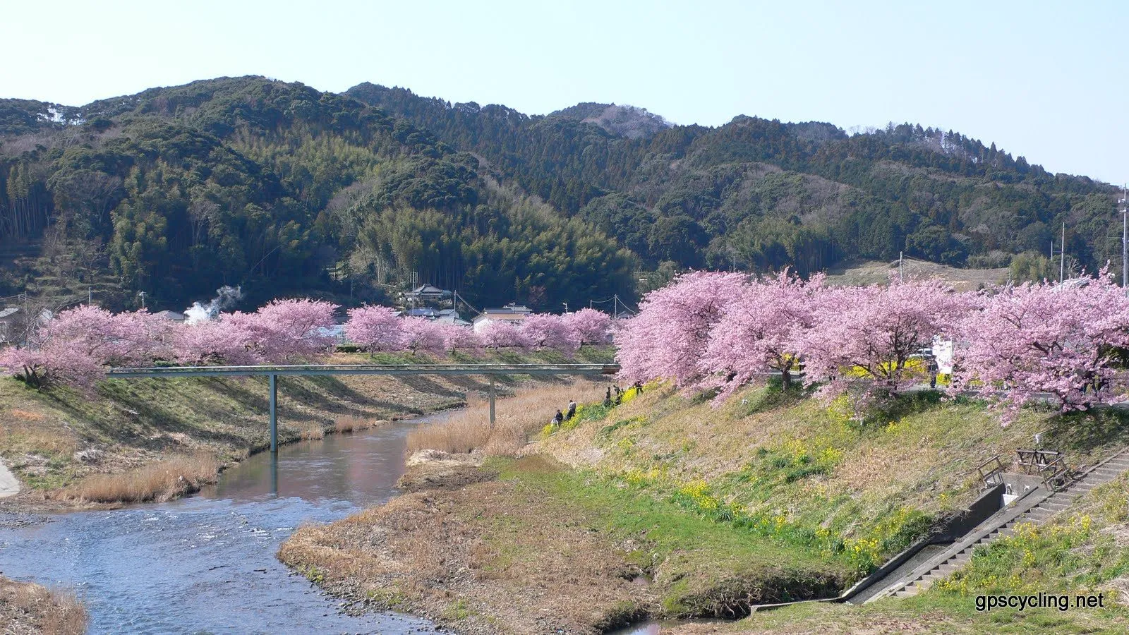 下賀茂温泉の風景