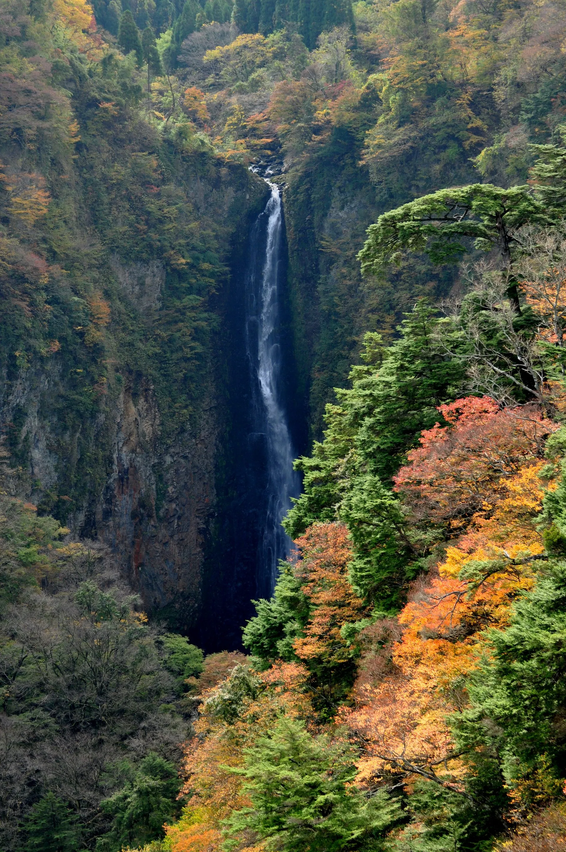 筌の口温泉の風景