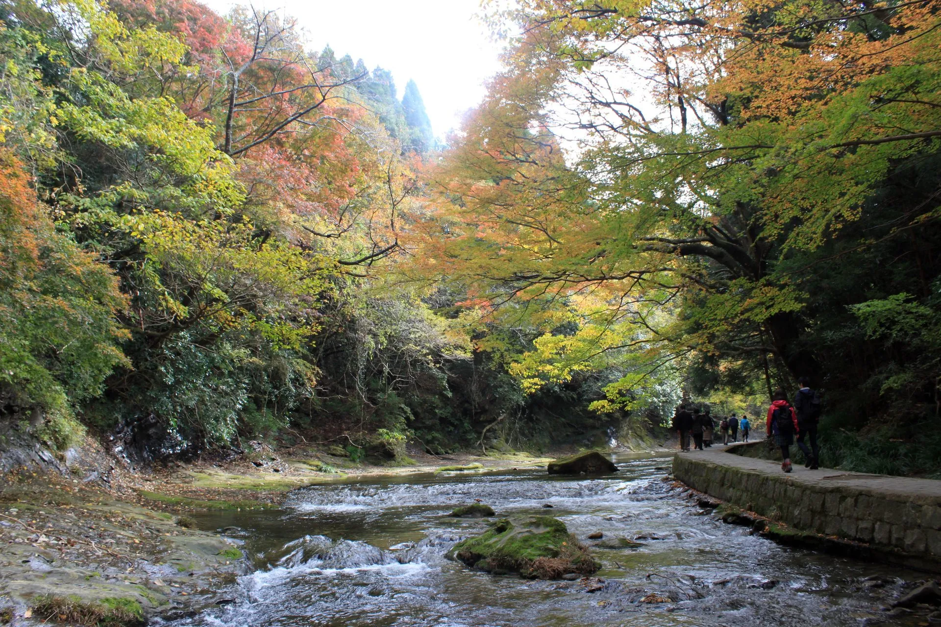 養老渓谷温泉の風景