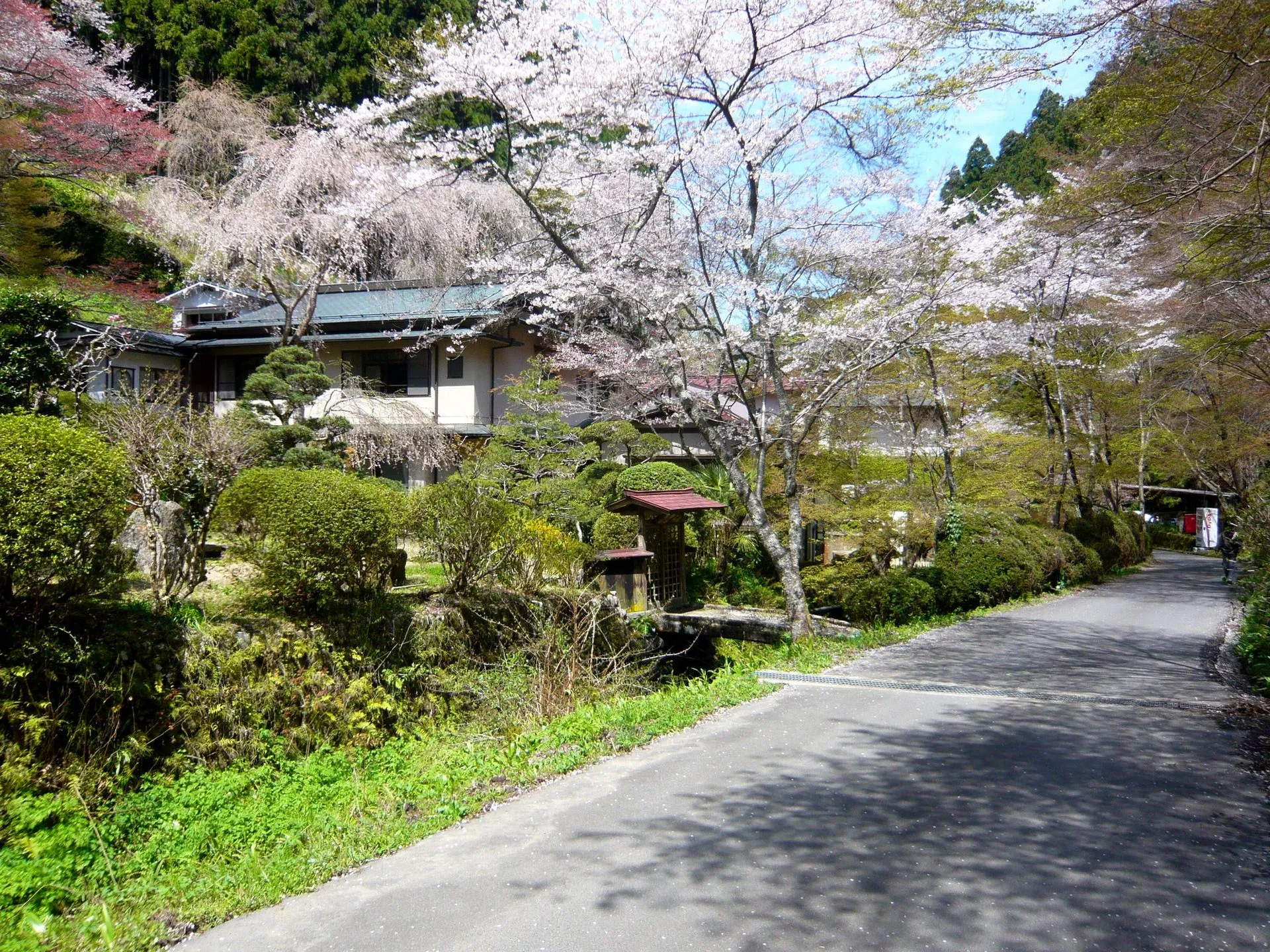 吉野温泉の風景